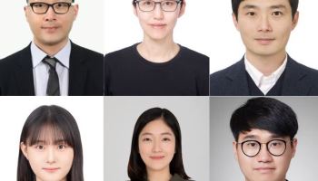 고려대·세종대·카이스트, ‘미니 뇌’ 활용 알츠하이머 진단 플랫폼 개발