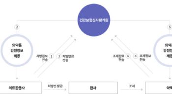 심평원, 마약류 의약품 DUR 의무화 앞두고 SW 개발 지원 추진