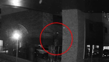 CCTV 900대 봤다…고급주택서 5억 턴 '날다람쥐' 구속