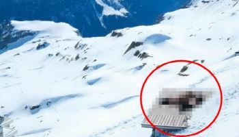 "춥겠는데…" 알프스 정상에서 성관계한 커플, 생중계됐다