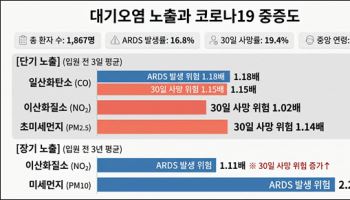 대기오염 짙은 날 중등도· 중증 코로나19, 폐 손상·사망 위험 더 높다