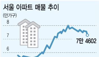 다주택·비거주 1주택자 쥐어짜도 매물 감소세