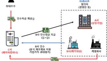 빚 숨기고 주가 부풀려…분할 재상장 악용한 경영진 덜미
