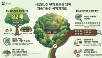 1000년 이어온 K자산 '사찰·사찰림', 체계적 보전 나선다