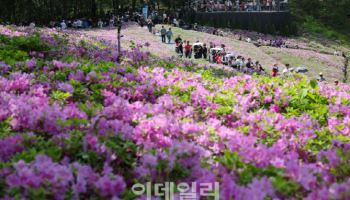 "나들이 가기 좋아요"…이번 주말 맑고 포근 `최고 25도`