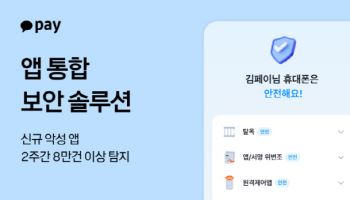 가상자산 폰지사기 급증···카카오페이, 전문 보안 서비스 점검 당부