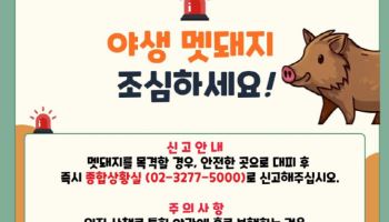 이화여대서 '멧돼지 출몰'…지자체, 포획 나서