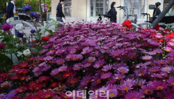 전국 맑고 일교차 20도 안팎…낮 최고 25도 포근