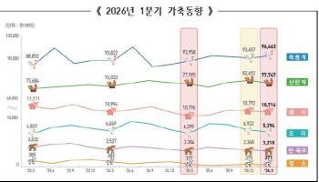 1분기 닭 사육 증가…오리 15.9% 감소