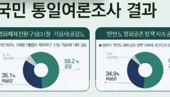 李정부 '평화공존 정책' 공감 62%…'北사이트 접속 허용' 동의 단 29.9%