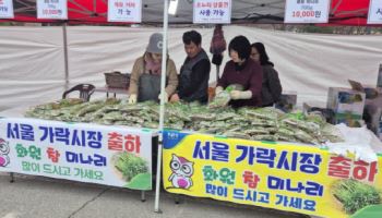 수도권 입맛 홀린 ‘화원 미나리’ 가락시장서 32톤 팔려