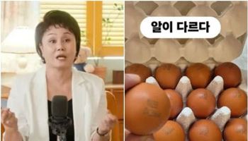 "사기꾼처럼 몰렸다"…이경실, '고가 달걀' 논란 반격
