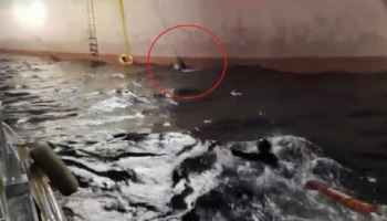 울진 바다서 사라진 다이버…12시간 표류 끝 삼척서 발견