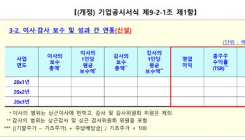 임원 연봉, 성과와 함께 공개…금감원, 사업보고서 임원보수 공시 강화