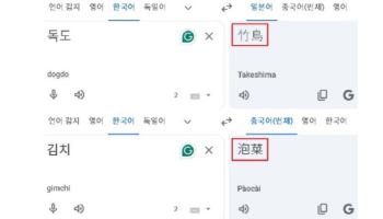 "독도는 다케시마, 김치는 파오차이"…구글 번역기 논란