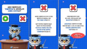 금감원, AI로 불법 핀플루언서 감시…5060 평균 피해액 1.8억