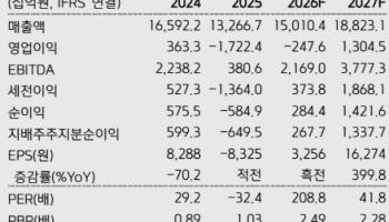삼성SDI, 적자에도 '컨센서스 상회'…2Q 적자 축소 전망에 목표가 82만원↑-키움