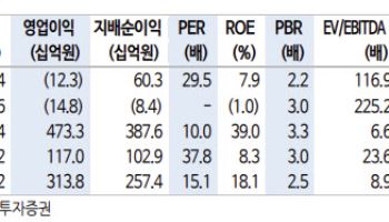 펄어비스, ‘붉은사막’ 흥행에 실적 추정치 상향…목표가↑-신한