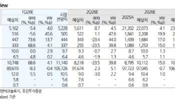 한국타이어앤테크놀로지, 공급 리스크는 기회 요인…목표가↑-유진