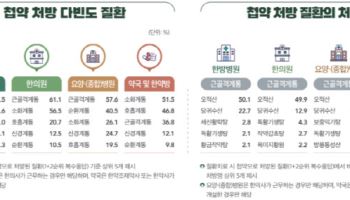 한약 처방 70% 이상 근골격계 집중…정부, 건보 확대 추진