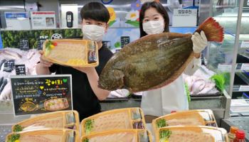 롯데마트, 특대 자연산 광어회 '1만원대' 판매