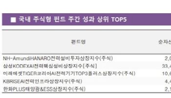 반도체보다 더 뛰었다…전력 ETF 수익률 ‘불기둥’