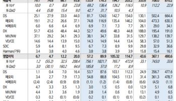 삼성전자, 의심할 여지 없는 초호황…목표가 30만원-신한