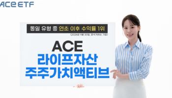 ACE 라이프자산주주가치액티브 ETF, 연초 이후 수익률 1위