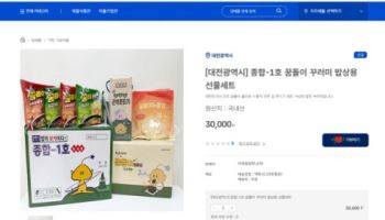 대전의 대표 캐릭터 '꿈돌이', 전국구 스타로 '우뚝'