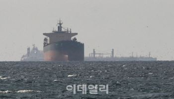 정부 "호르무즈서 韓선박 피격여부 확인 중…인명피해 없어"