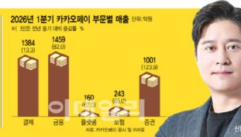 금융 플랫폼 거듭난 카카오페이 "4000만 이용자 스테이블코인 쓰게 할 것" (컨콜 종합)