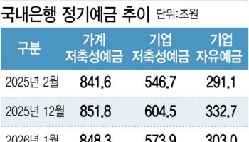 집 나갔던 은행 예금 돌아왔다더니, 일회성 기업자금이었네