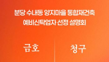 분당 양지마을 통합재건축 신탁사업자, 대신·우리 압축
