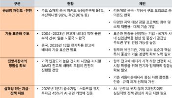 PwC컨설팅 "K-배터리, 전고체로 피지컬 AI 분야 주도권 확보해야"