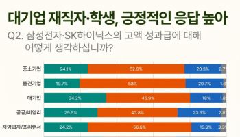 국민 10명 중 7명 “삼성·SK하이닉스 성과급 과도”…절반은 “사회적 논의 필요”