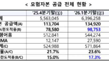 AI 반도체 기업부터 지역유망 스타트업까지…종투사, 모험자본 공급 '속도'