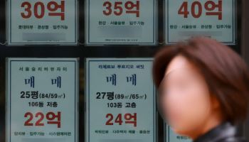 ‘국평 업글’보다 상급지59…‘똘똘한 좁은 집’ 수요 쏠림 왜