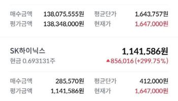 17억 대출해 SK하이닉스 올인한 공무원…"계좌 인증" 글 화제