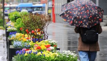 "우산 챙기세요"…월요일 출근길 전국 봄비[내일날씨]
