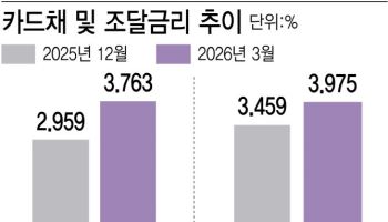 카드채 금리 2년 3개월 만에 최고