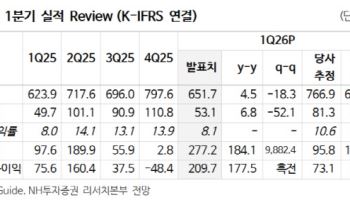 넷마블, 1분기 실적 부진과 출시작들 기대치 이하…목표가↓-NH