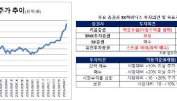 목표가 300만원도 나왔는데…SK하이닉스, 또 투자의견 하향