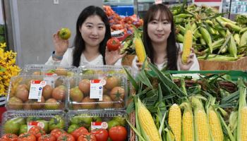 “벌써 초당옥수수 나온다”…롯데마트, 제철 농산물 ‘얼리 시즌’