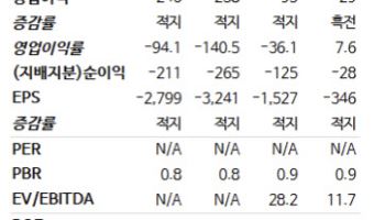 SK아이이테크, 2027년까지 적자 전망…가동률 회복 제한적-NH