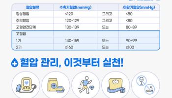 2030 세대 고혈압 급증, 젊은 혈관 건강 적신호