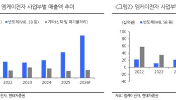 엠케이전자, AI 메모리 수요 확대 수혜 기대…목표가↑-현대차