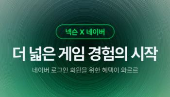 네이버, 넥슨 IP 품고 치지직 키운다…계정 연동 시작(종합)