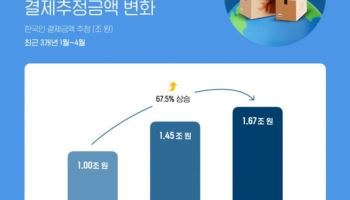 알리·테무·쉬인, 2년 연속 성장…4개월새 1.7조 긁었다