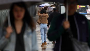 내일까지 전국에 많은 비…수도권 시간당 20~30㎜ 안팎
