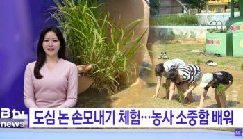 SK브로드밴드, AI 활용 지역뉴스 제작 성과…시청률·채널 순위 상승